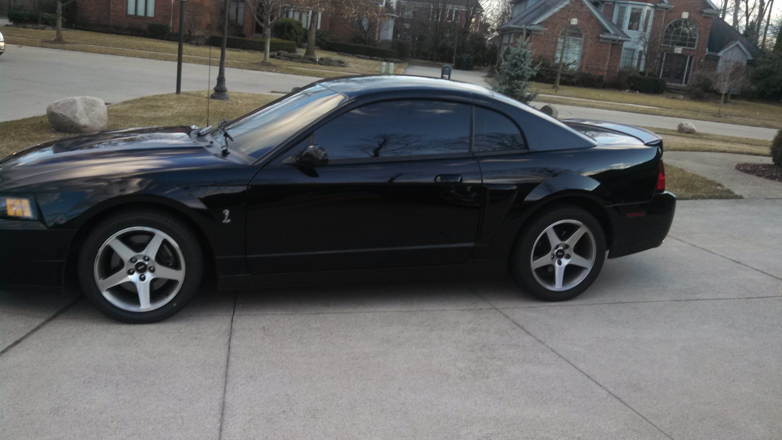 2003 Ford mustang cobra supercharged #1