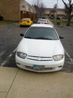 Cavalier Cavalier