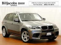 2010 BMW X5 M Overview