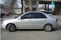 Cerato Cerato