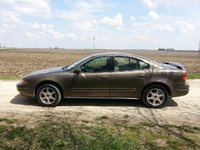 Alero Alero