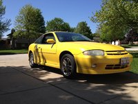 Cavalier Cavalier