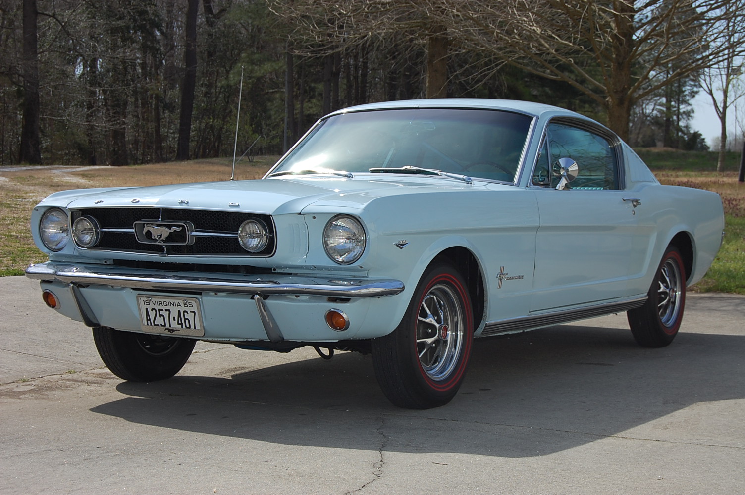 1965 Ford mustang fastback with cammer engine #9
