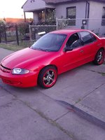 Cavalier Cavalier