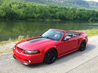 1999 Ford Mustang Svt Cobra Pictures Cargurus