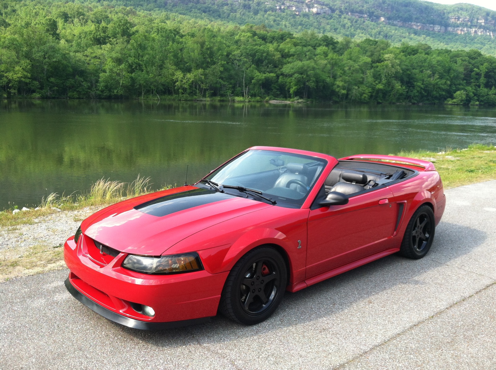 1999 Ford mustang cobra svt coupe #5