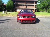Mustang SVT Cobra Mustang SVT Cobra