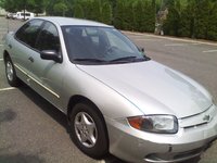 Cavalier Cavalier