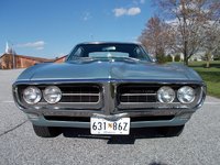 Firebird Firebird
