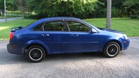 Forenza Forenza
