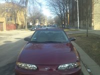 Alero Alero
