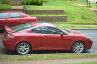 Tiburon Tiburon