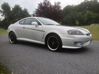 Tiburon Tiburon