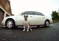 DeVille DeVille