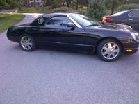 Thunderbird Thunderbird