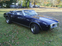 Firebird Firebird