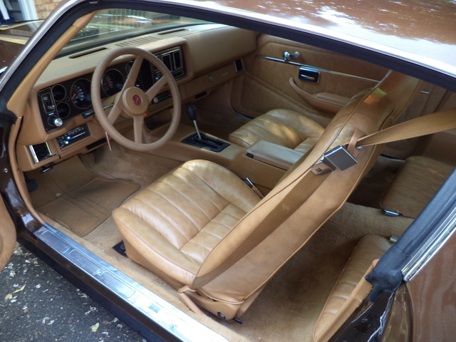 1979 camaro deluxe interior doors handel