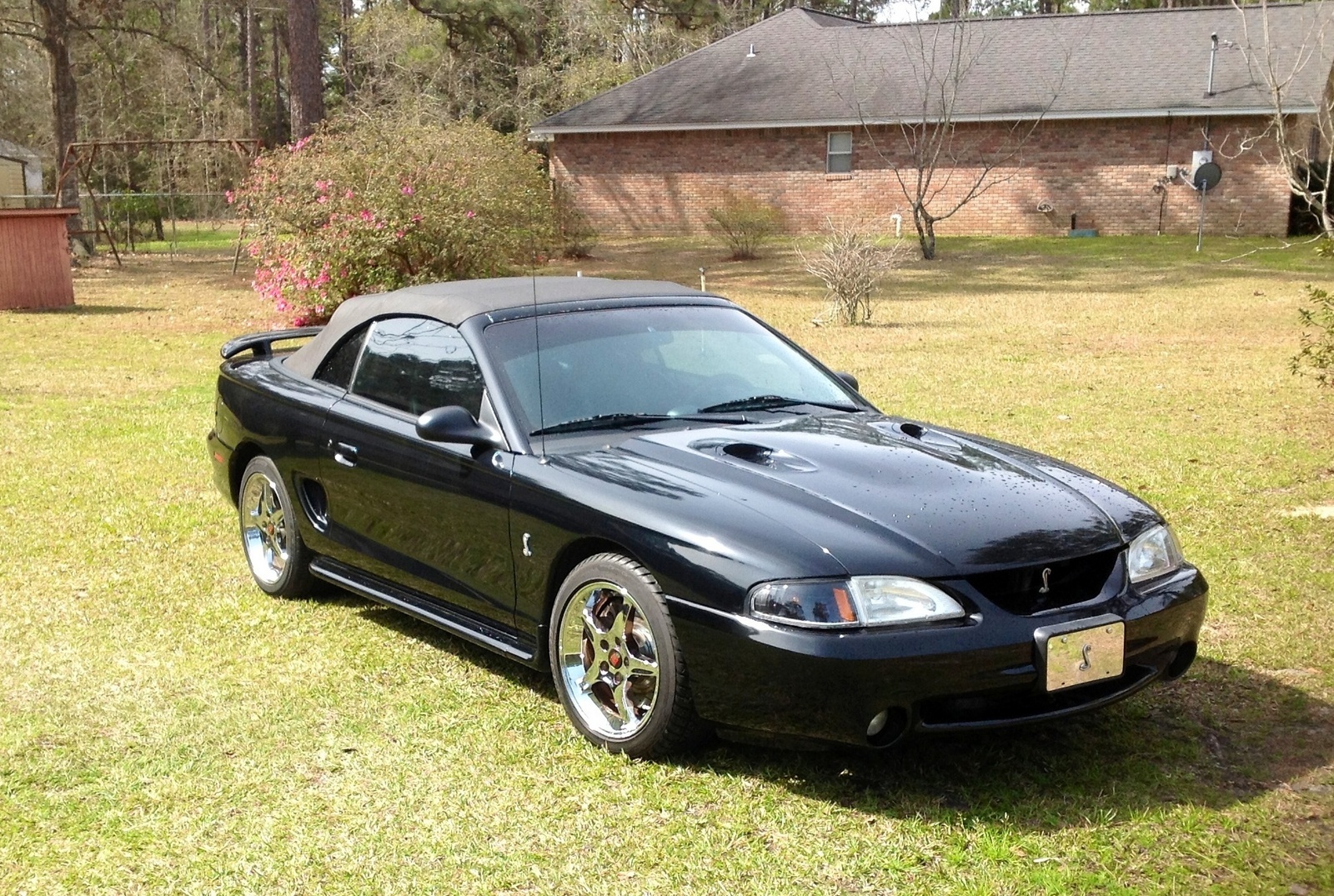 Used ford mustang svt cobra for sale in florida #9
