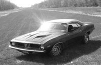 Barracuda Barracuda