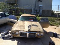 Firebird Firebird
