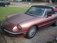1983 Alfa Romeo Spider Overview 1983 Alfa Romeo Spider Overview