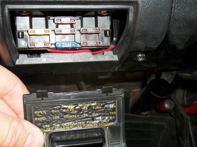 1982 Toyota Corolla - Pictures