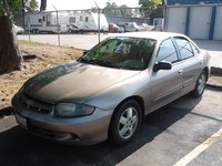 Cavalier Cavalier
