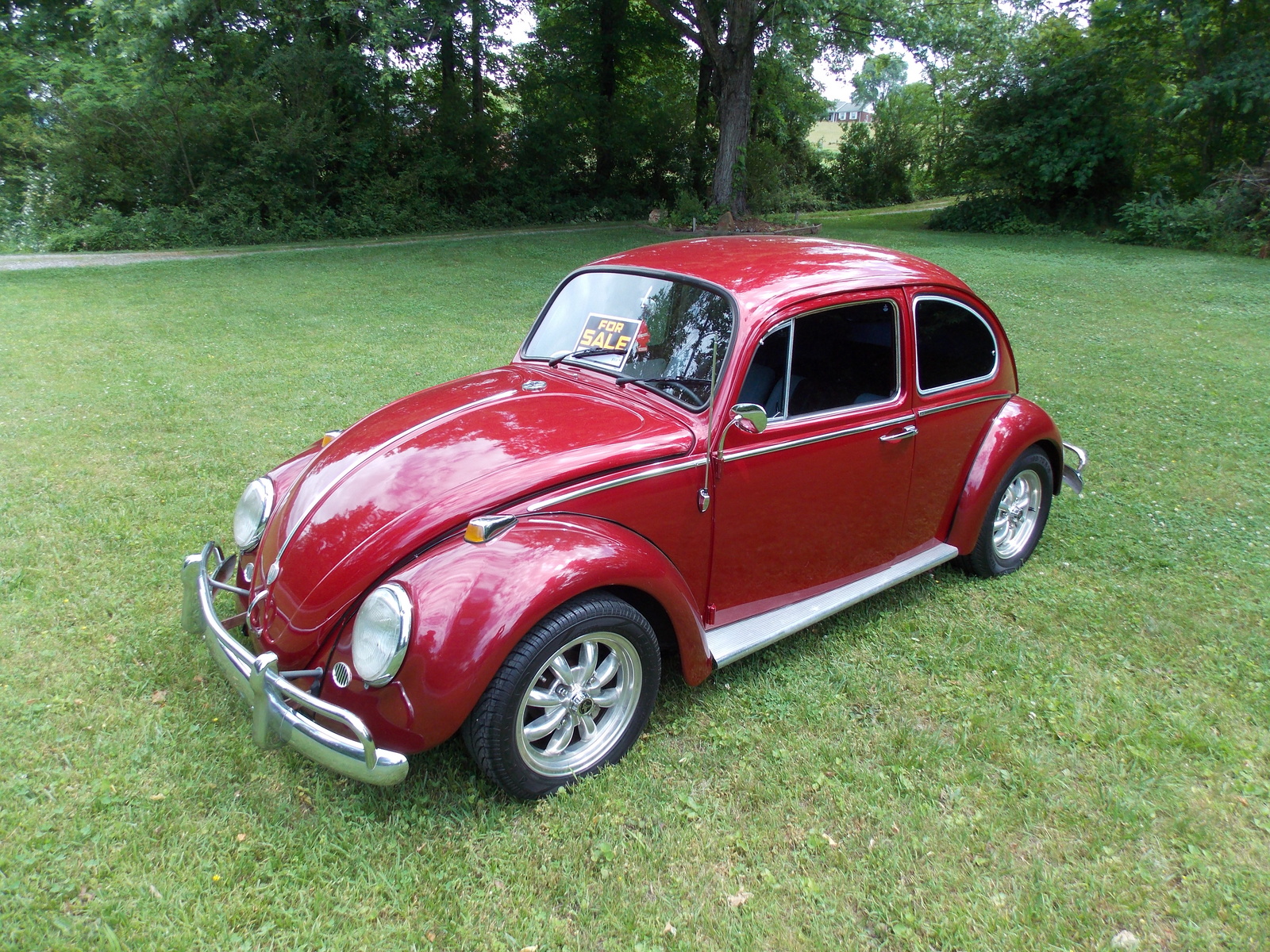 1965 Volkswagen Beetle - Pictures - CarGurus