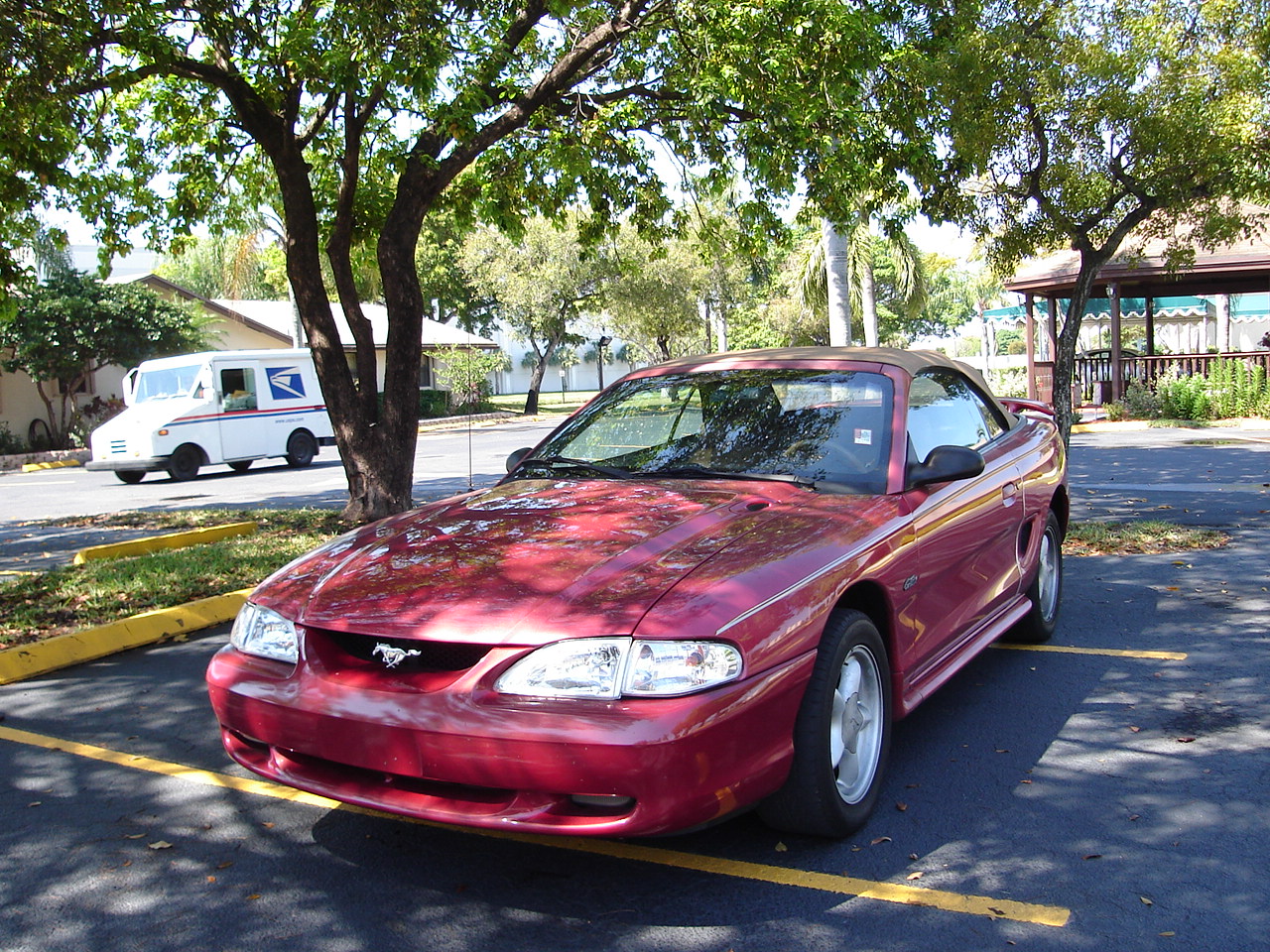 Drag racing ford mustang svt cobra tuning #9