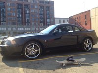 Mustang SVT Cobra Mustang SVT Cobra