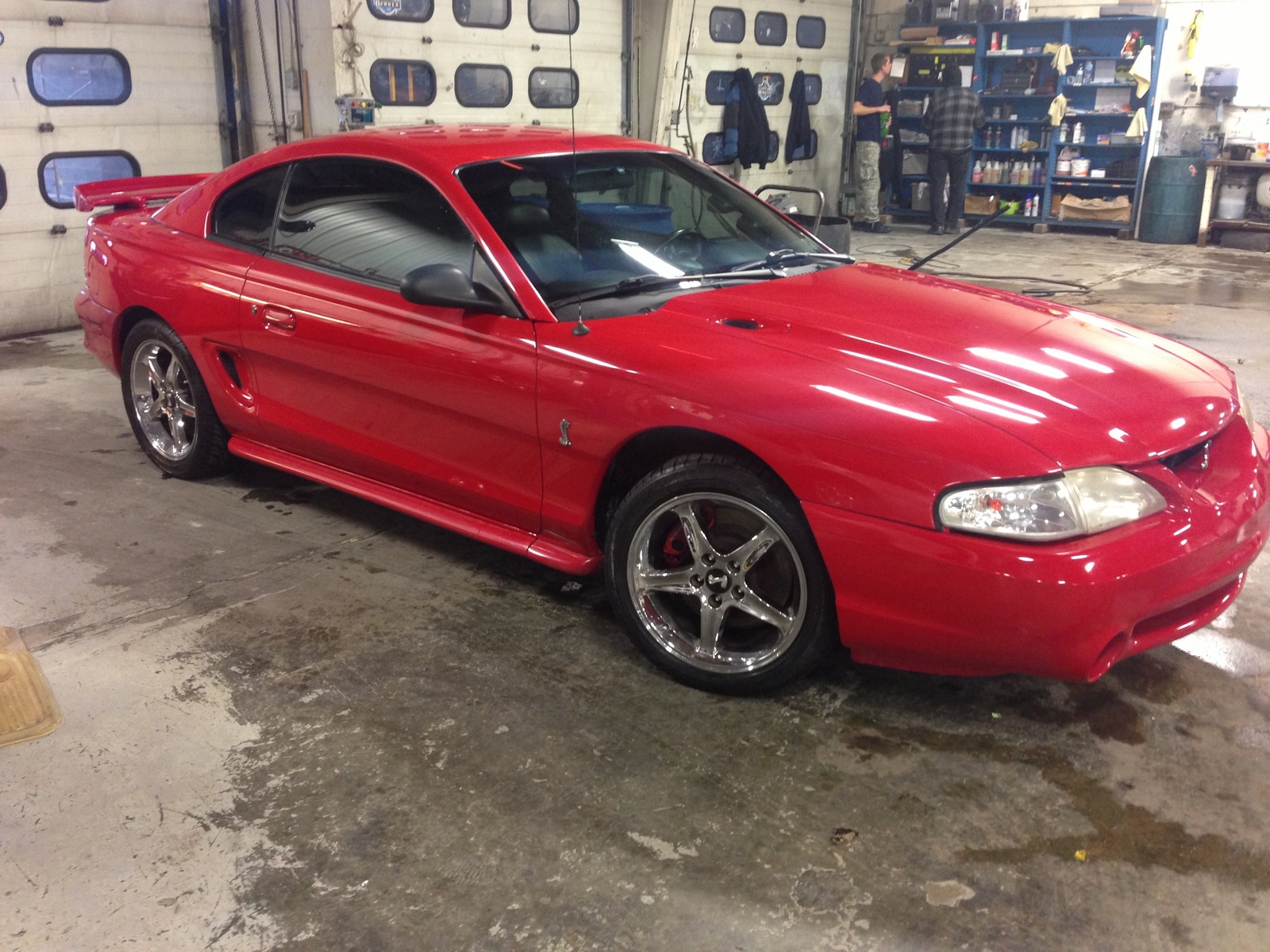 1994 Ford mustang cobra svt #2