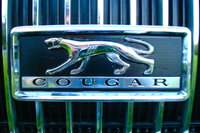 Cougar Cougar