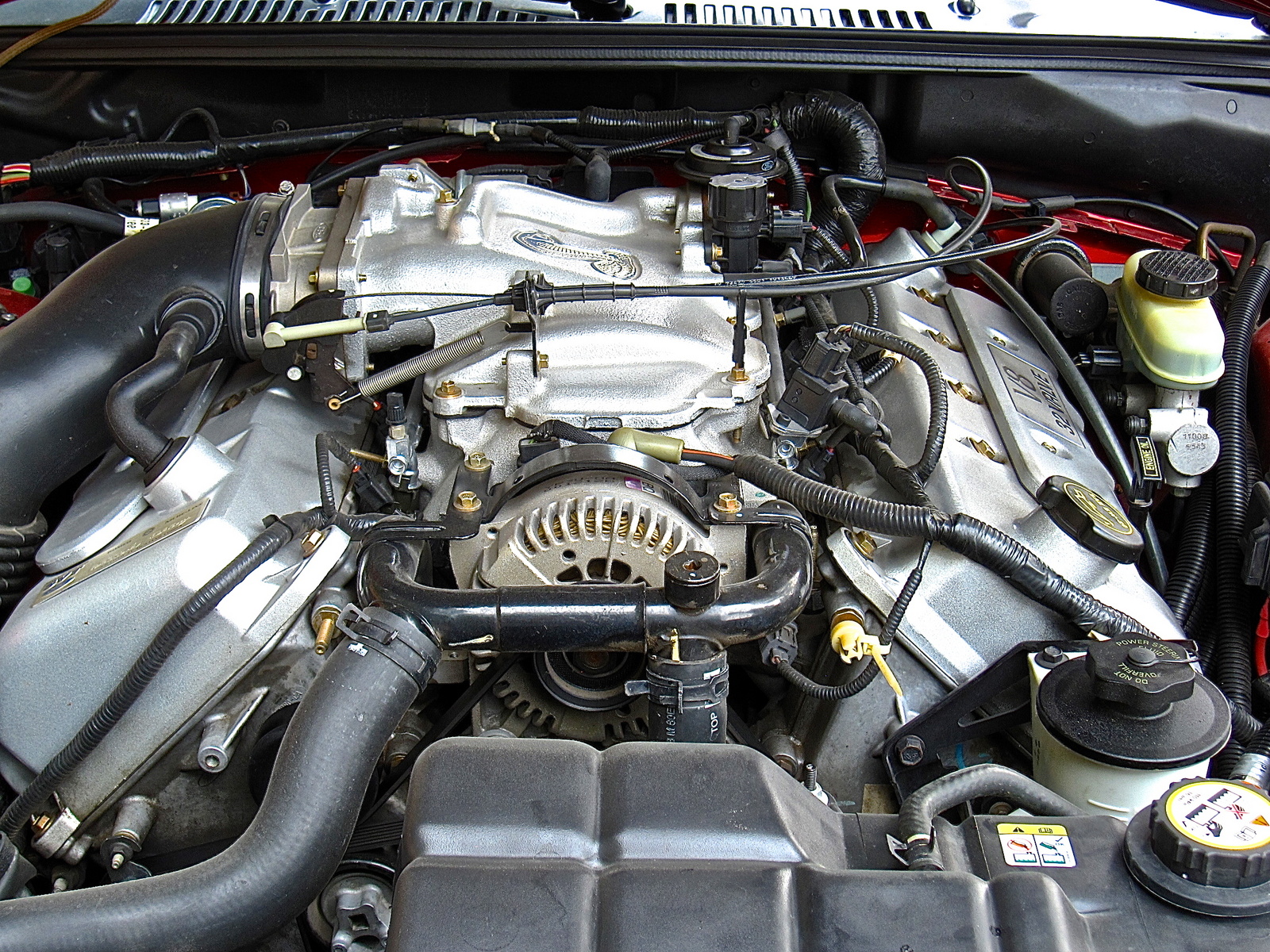2001 Ford mustang cobra engine #3
