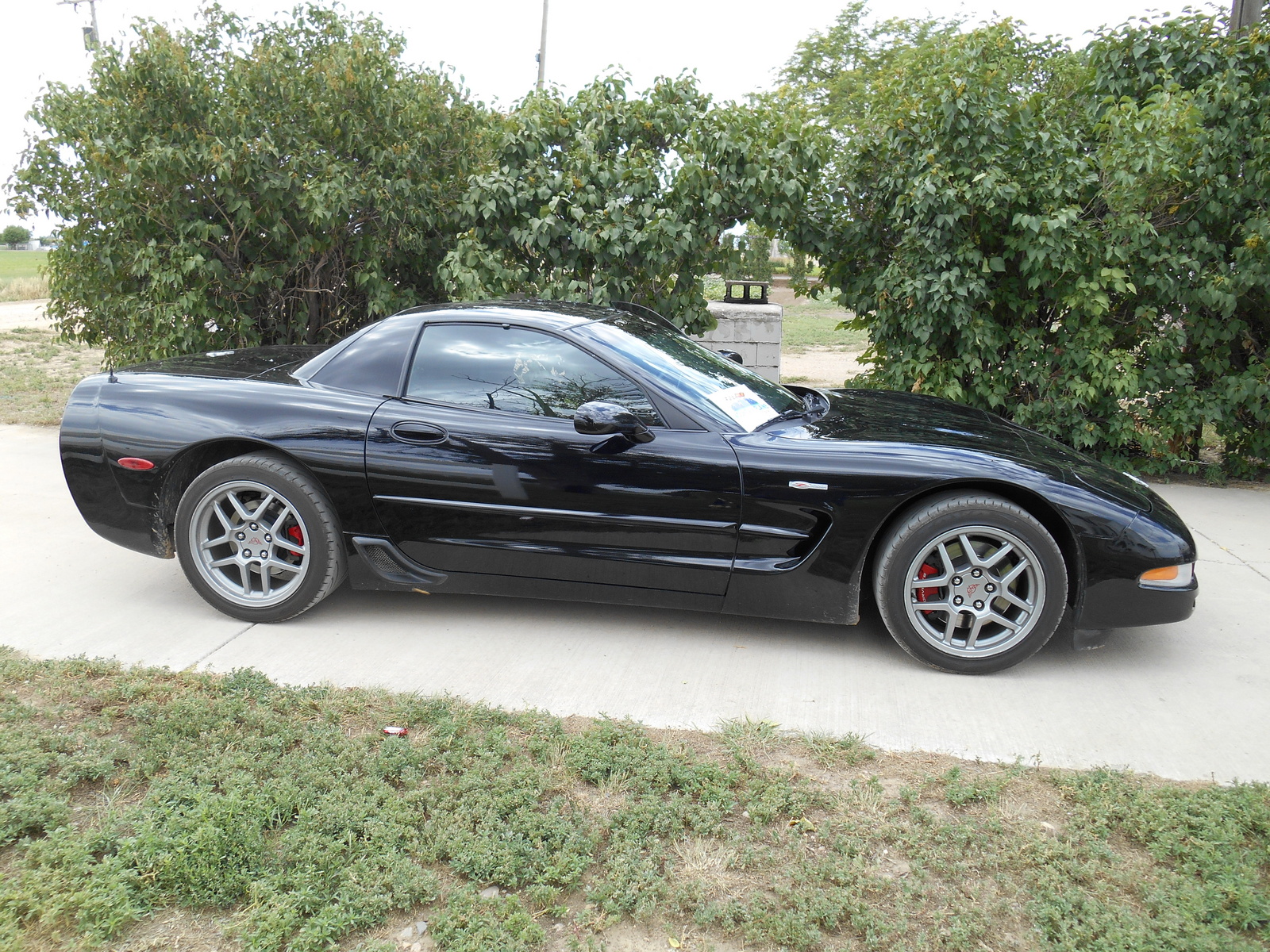 2003 Chevrolet Corvette - Pictures - CarGurus