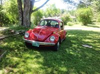 Super Beetle Super Beetle