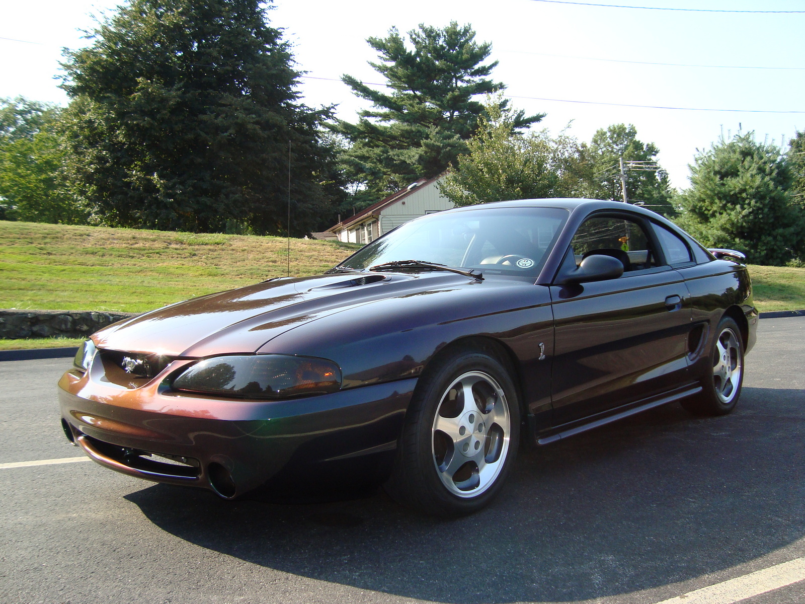 1996 Ford mustang cobra svt coupe