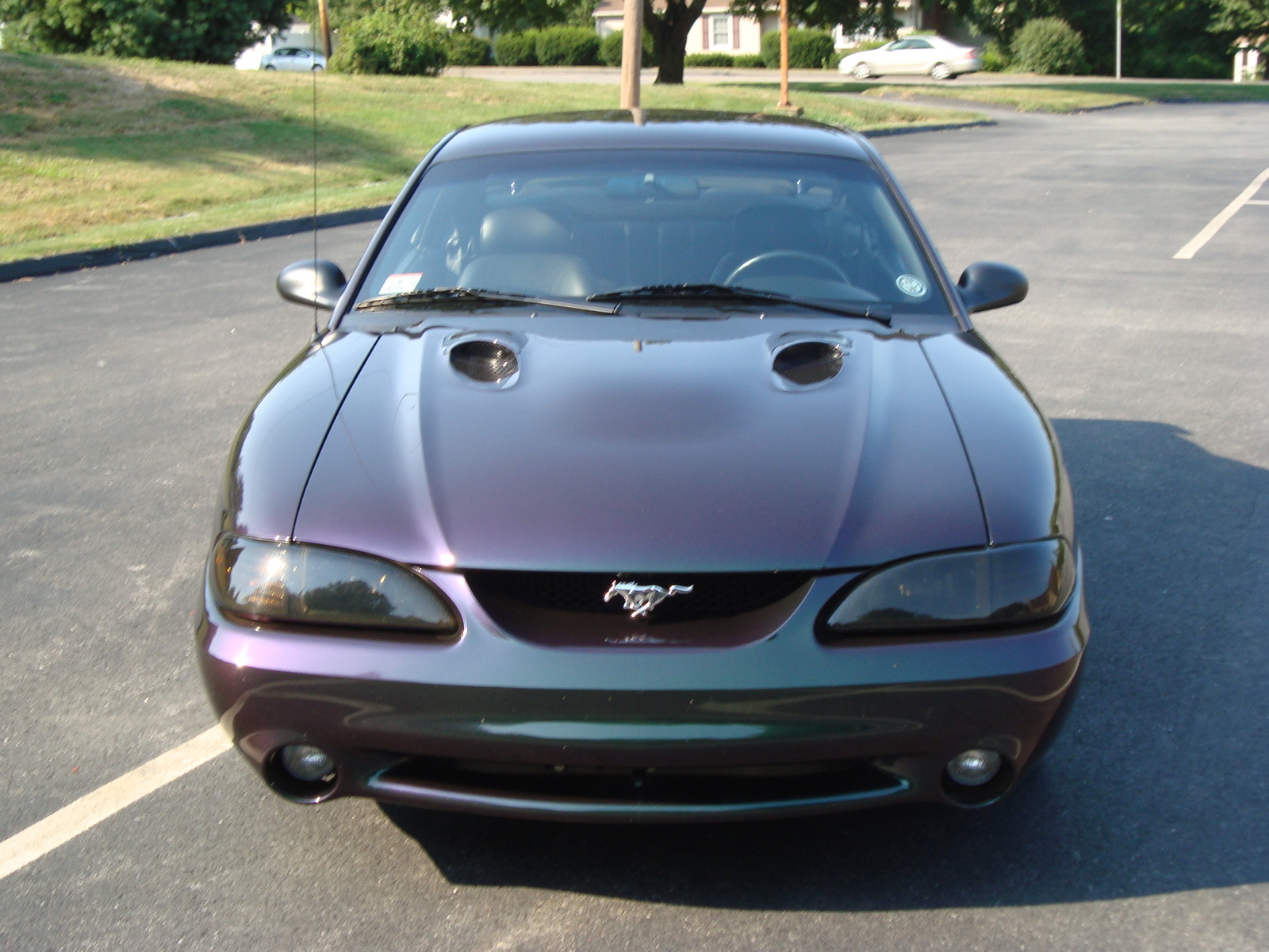 1996 Ford mustang cobra specifications #7