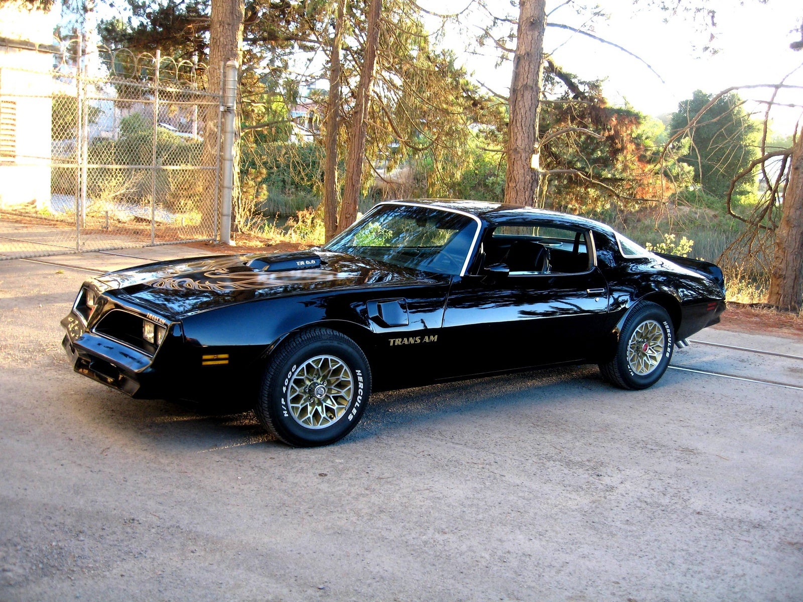 1978 trans am pro touring with a ls swap. 