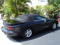 Firebird Firebird