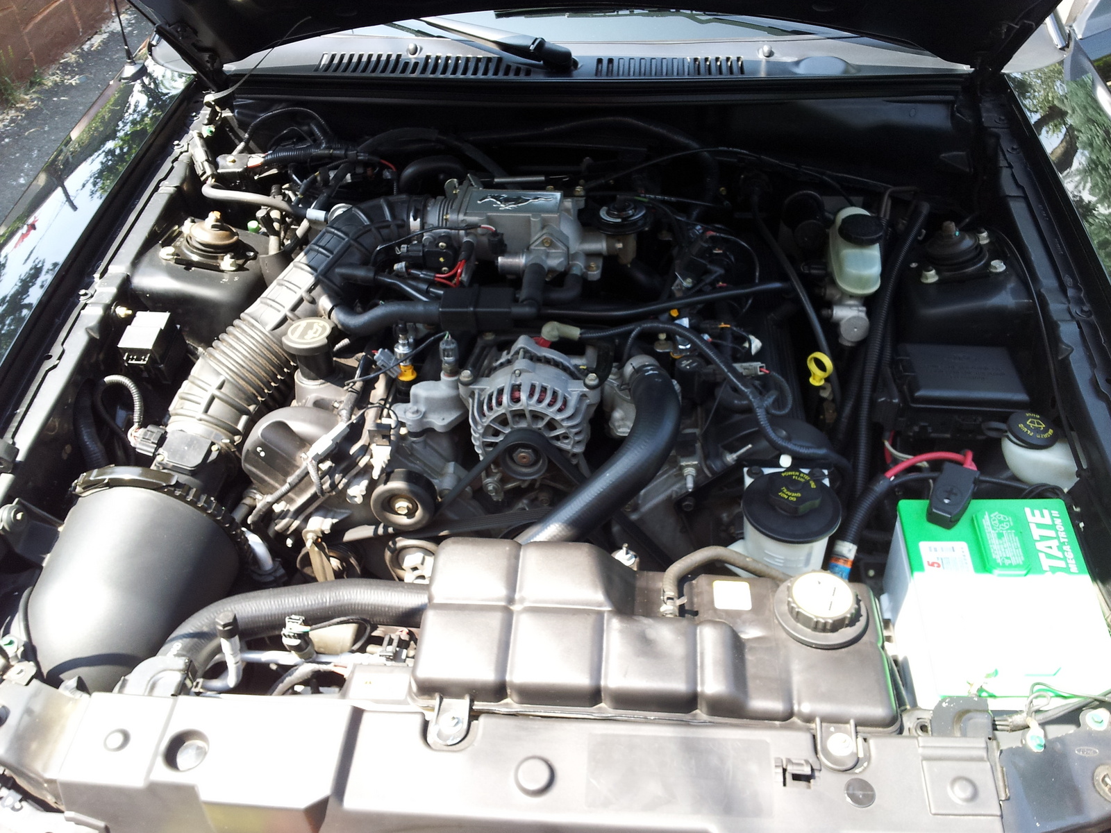 2002 Ford mustang cobra engine specs #8