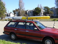 Loyale Loyale