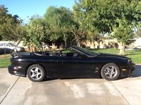 Firebird Firebird