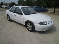 Cavalier Cavalier
