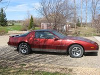 Firebird Firebird