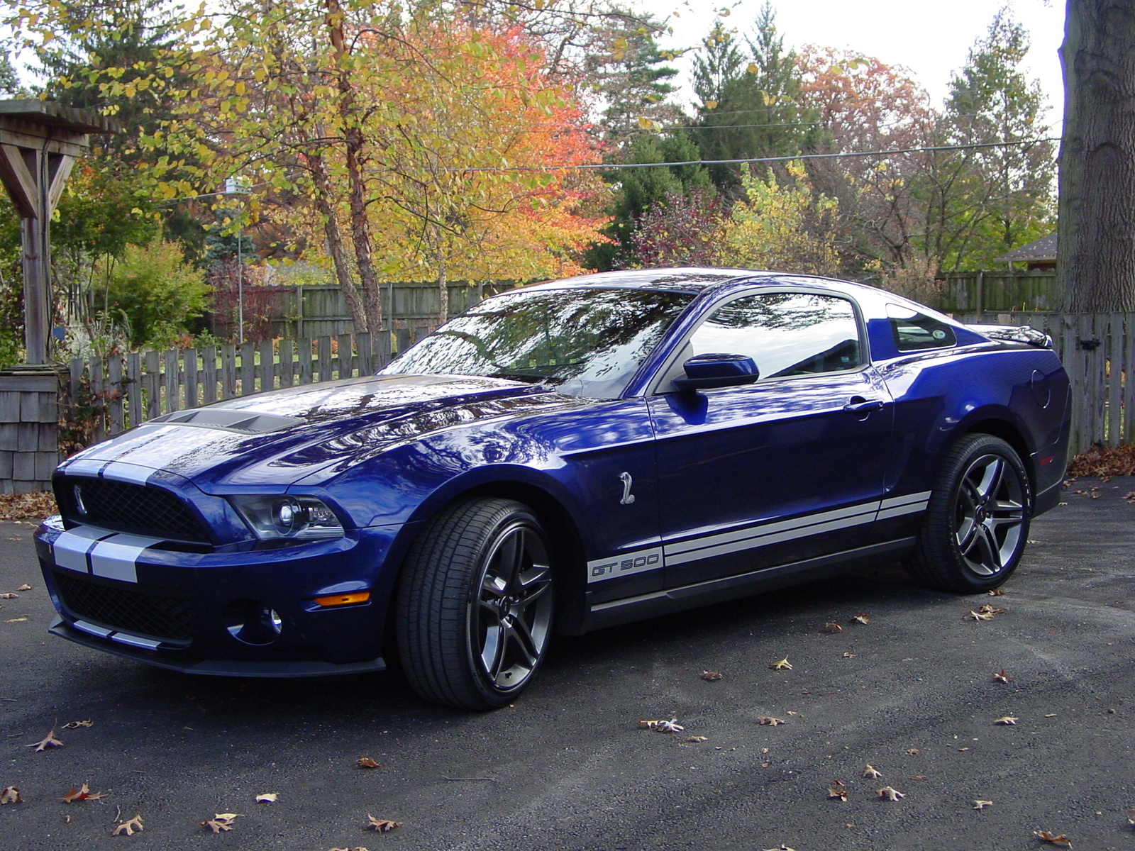 Форд Мустанг Шелби gt 500 2010