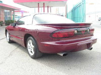 Firebird Firebird
