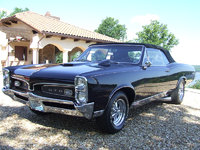 GTO GTO