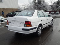 Tercel Tercel