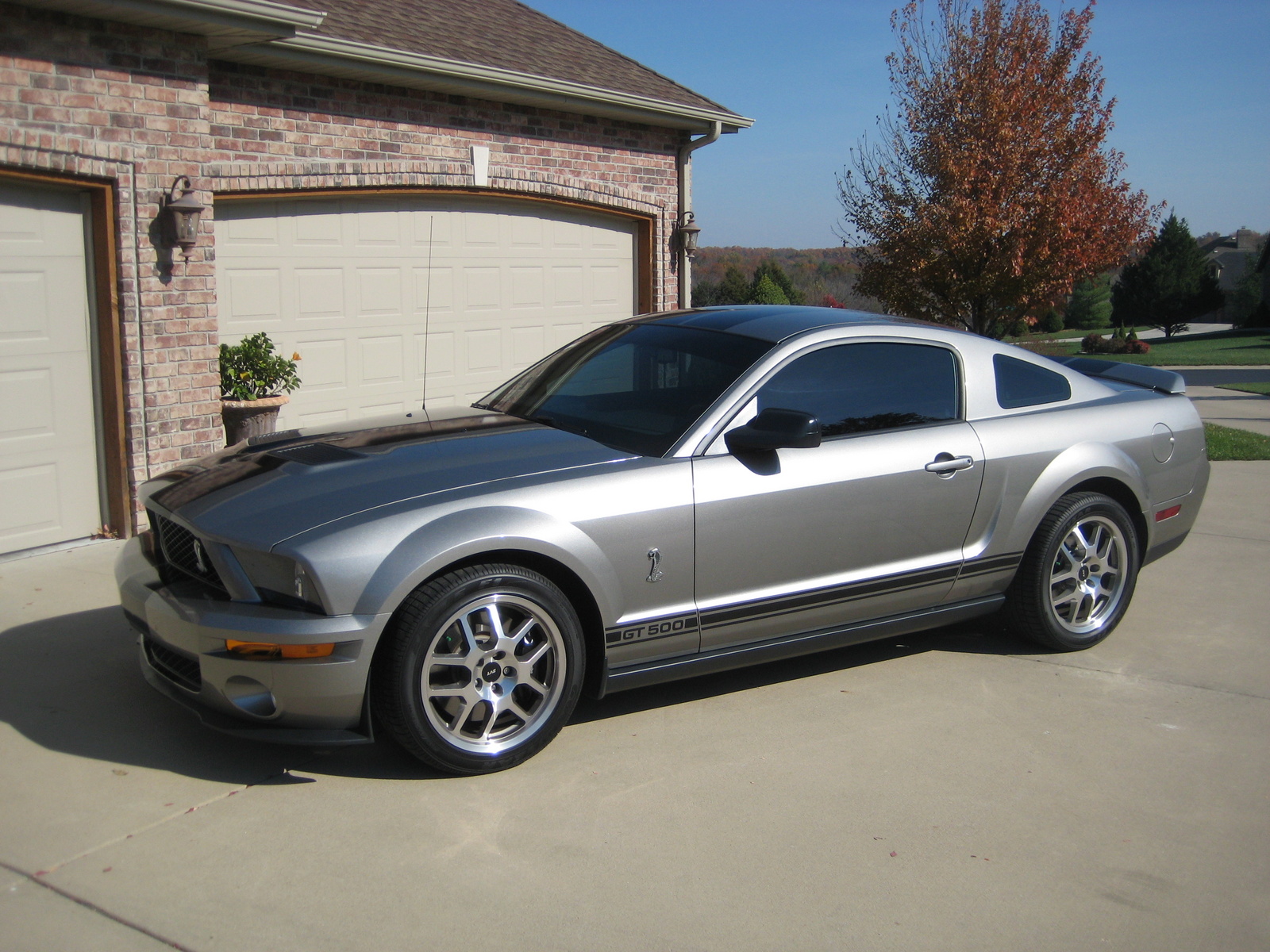 2009 Ford shelby cobra specs #10