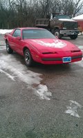 Firebird Firebird